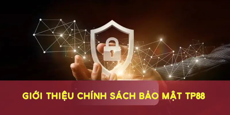 Sơ lược về chính sách quyền riêng tư của nhà cái